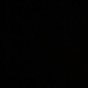 Meet your Posher, Skye